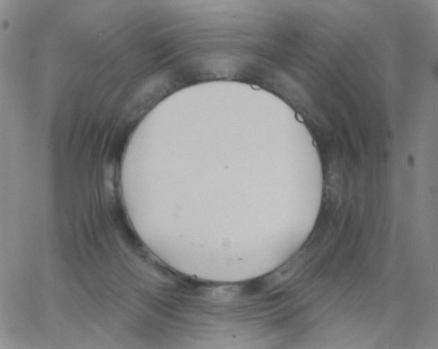 X0000062920122200602101906