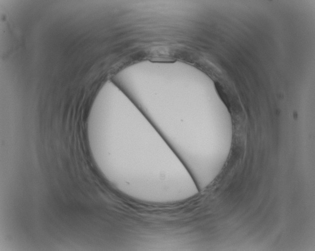 X0000062920125200602101906