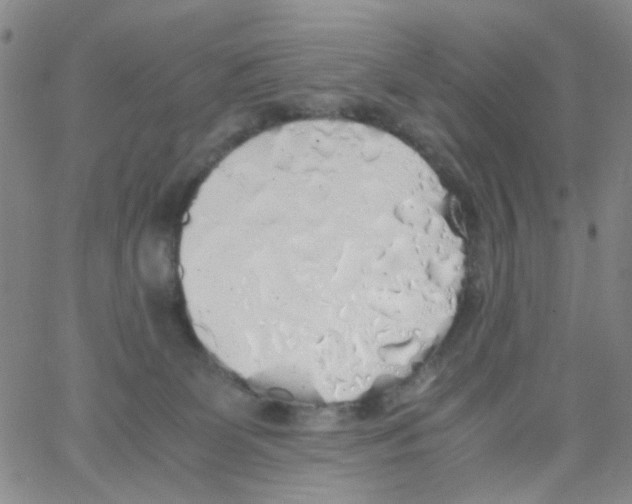 X0000062920131200602101906