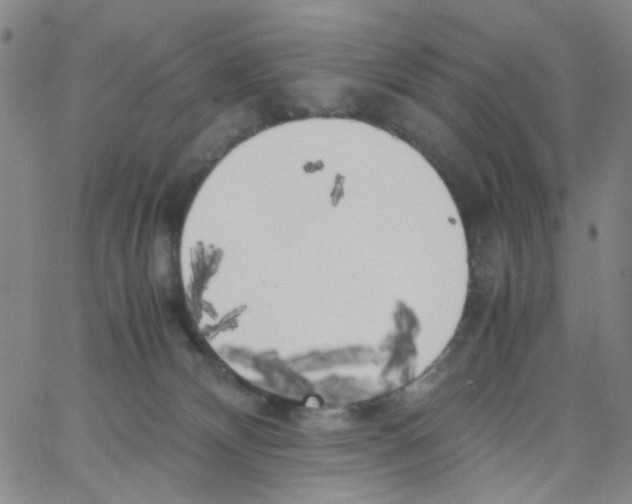 X0000062920132200602101906