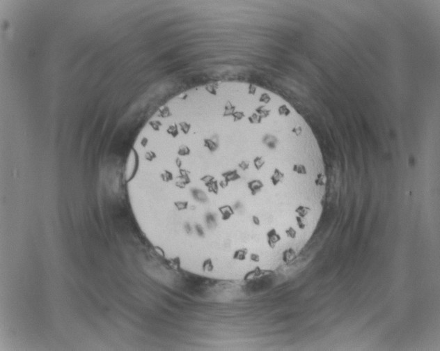 X0000062920138200602101906