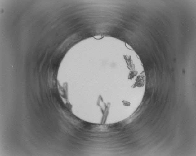 X0000062920140200602101906