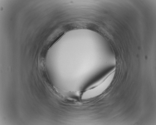 X0000062920141200602101906