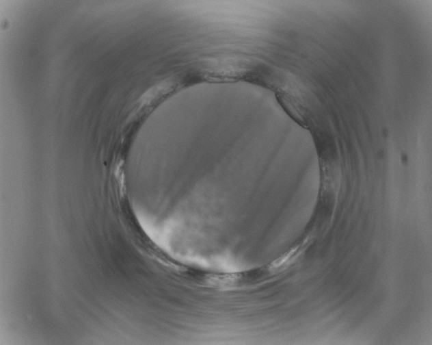 X0000062920143200602101906