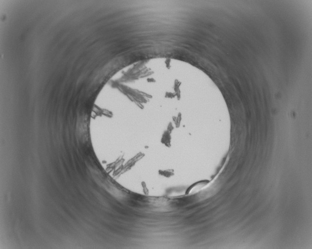 X0000062920144200602101906