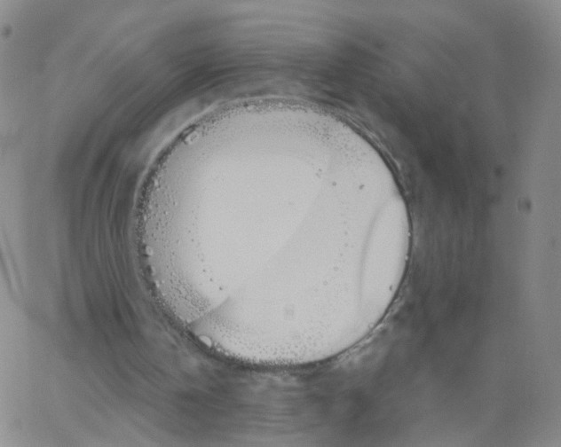 X0000062920146200602101905