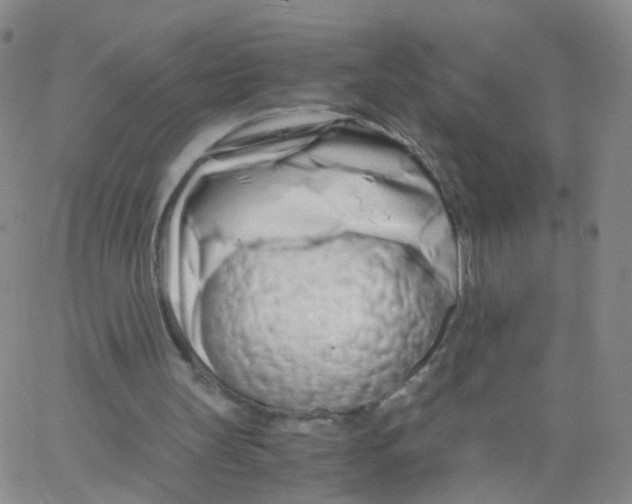 X0000062920147200602101905