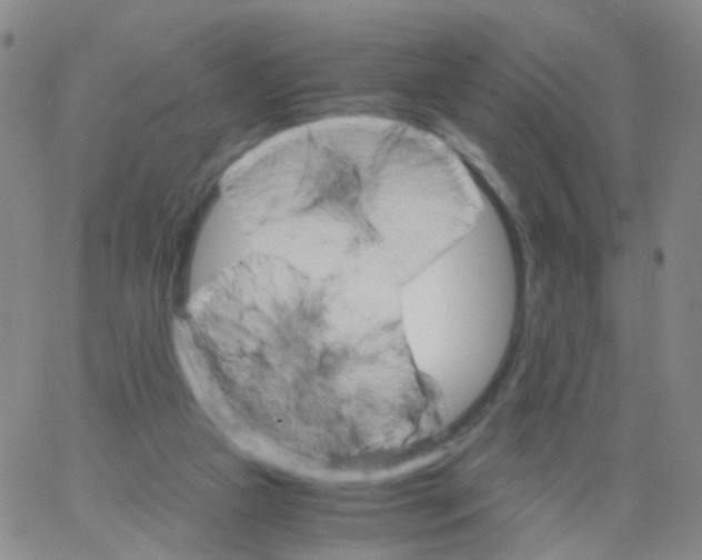 X0000062920161200602101906