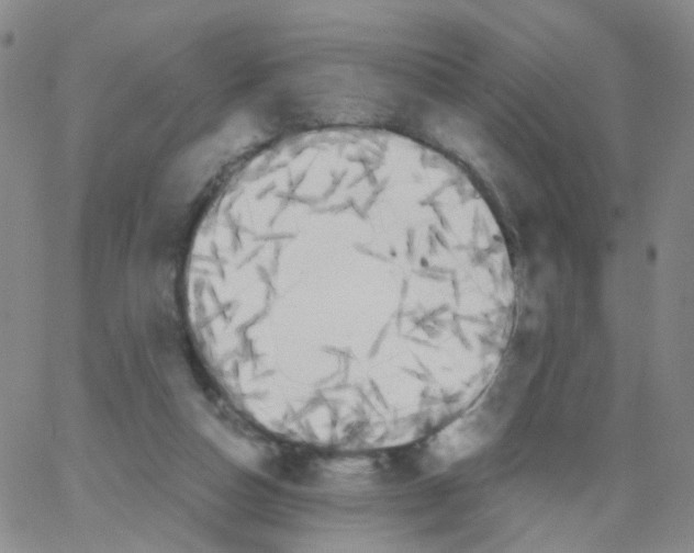 X0000062920162200602101906