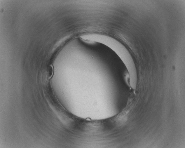 X0000062920164200602101906