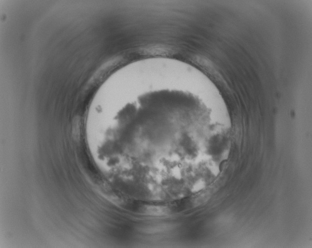 X0000062920167200602101906