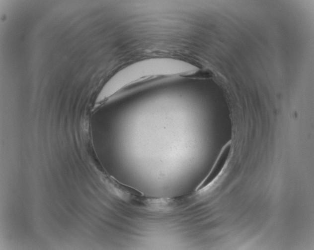 X0000062920192200602101906