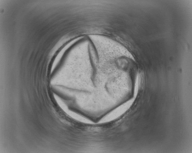 X0000062920195200602101905