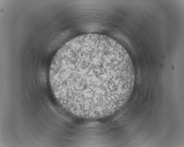 X0000062920210200602101905