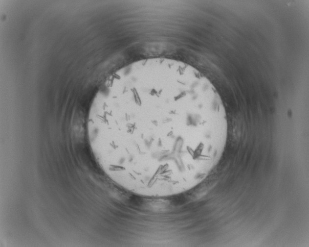 X0000062920226200602101905