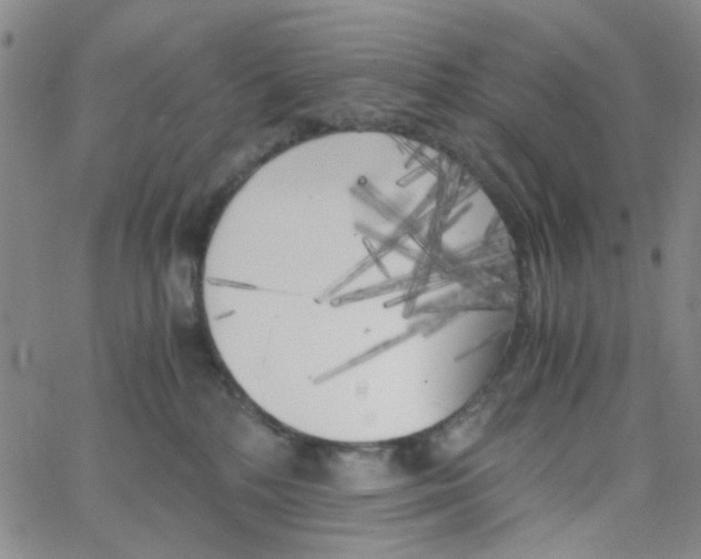 X0000062920232200602101905
