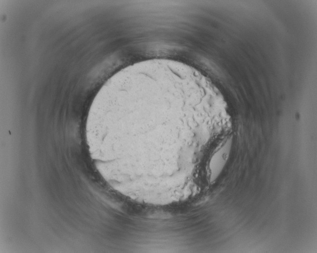 X0000062920258200602101904