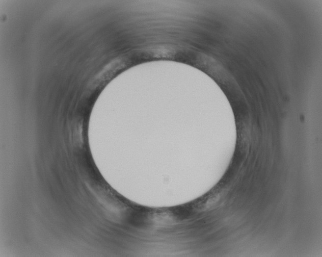 X0000062920262200602101904