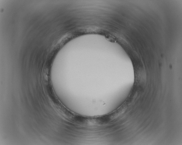 X0000062920264200602101904