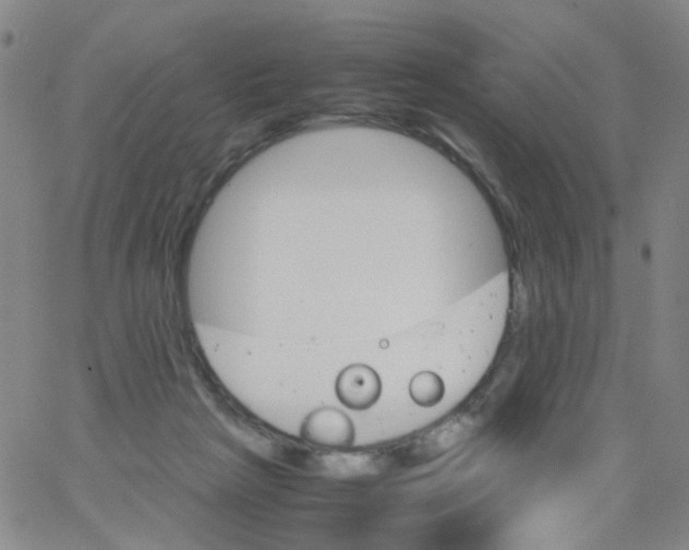 X0000062920265200602101904