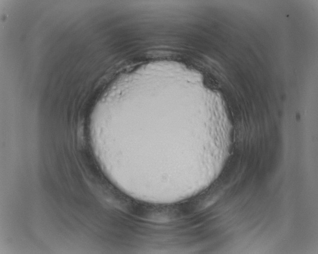 X0000062920267200602101904