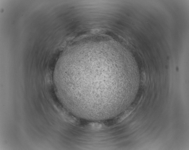 X0000062920272200602101904