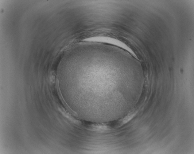 X0000062920284200602101904