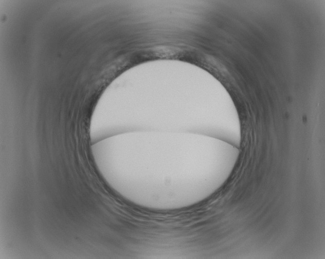 X0000062920317200602101903