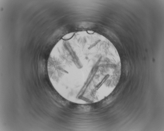X0000062920328200602101903