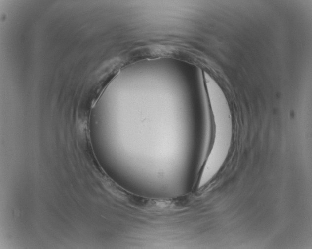 X0000062920329200602101903