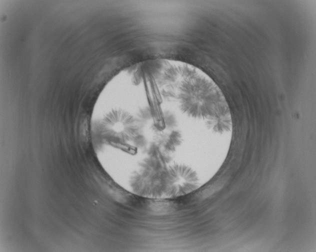 X0000062920336200602101903