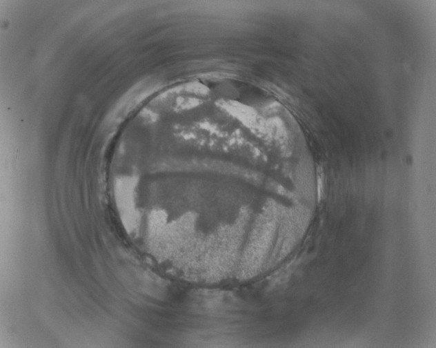X0000062920339200602101902