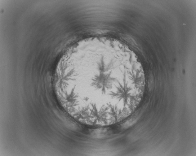 X0000062920366200602101903