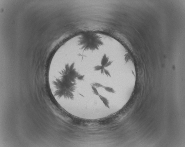 X0000062920395200602101902