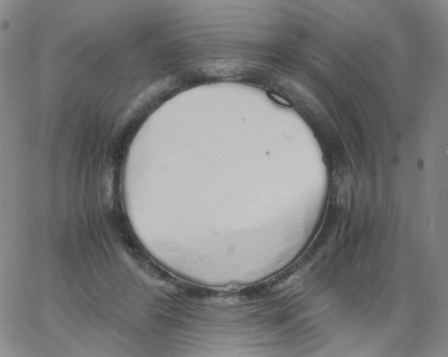 X0000062920404200602101902