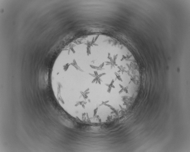 X0000062920406200602101902