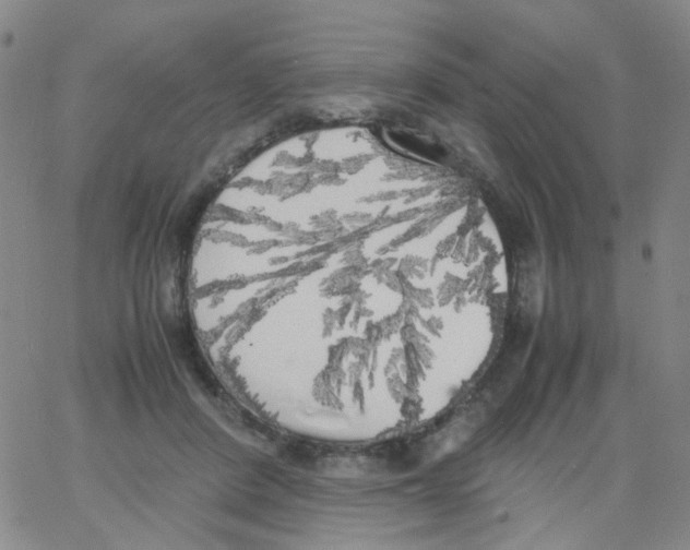 X0000062920408200602101902