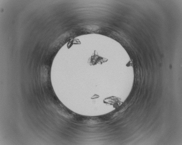 X0000062920412200602101902