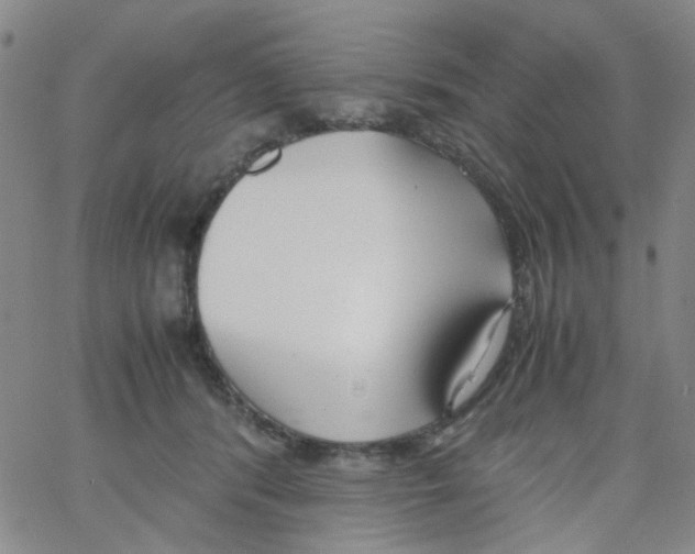 X0000062920416200602101902