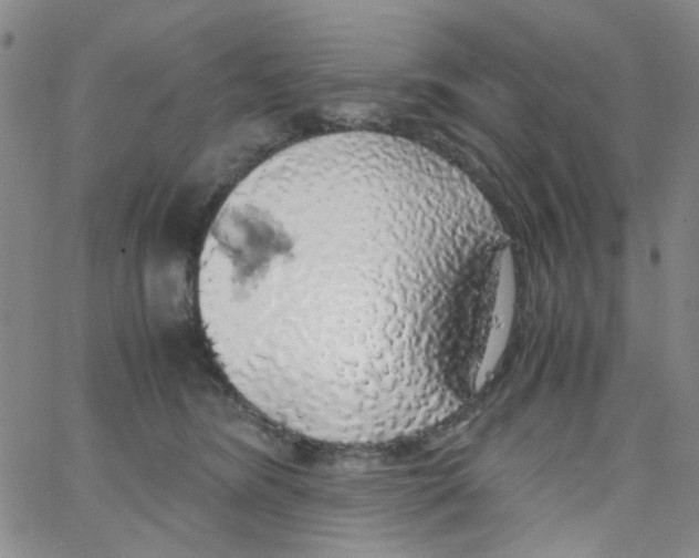 X0000062920420200602101902
