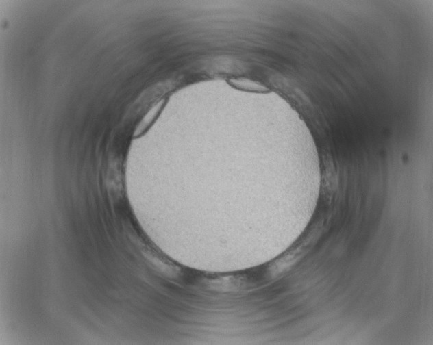 X0000062920430200602101901