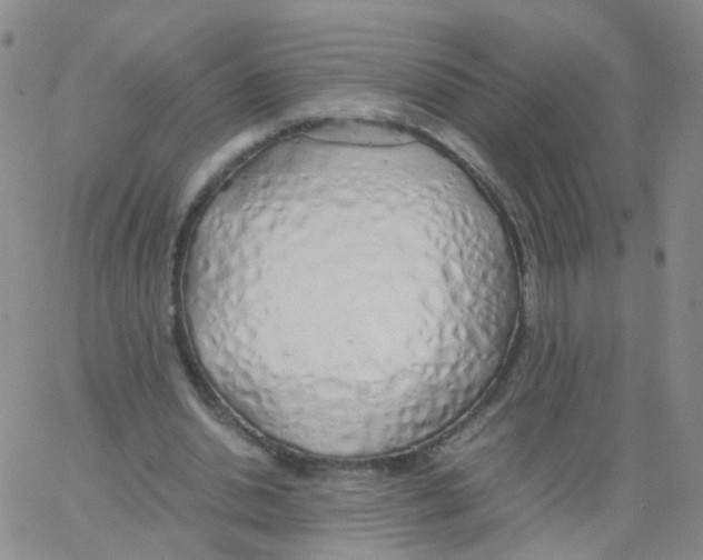 X0000062920438200602101901