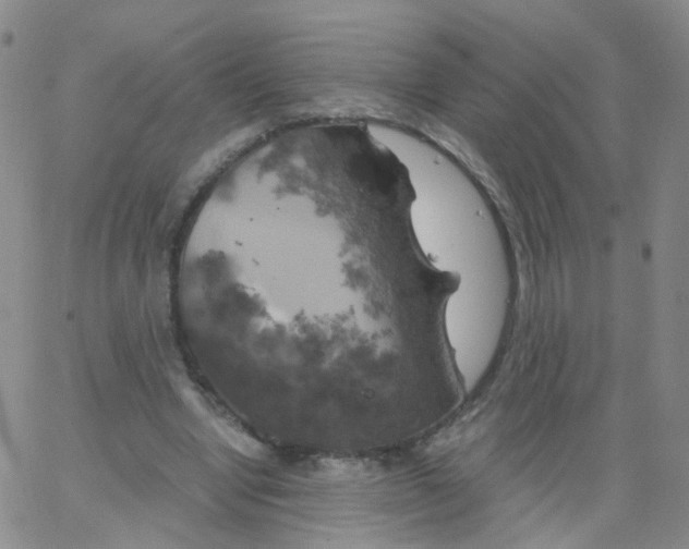 X0000062920442200602101901