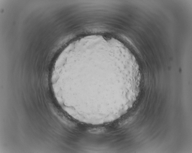 X0000062920447200602101901