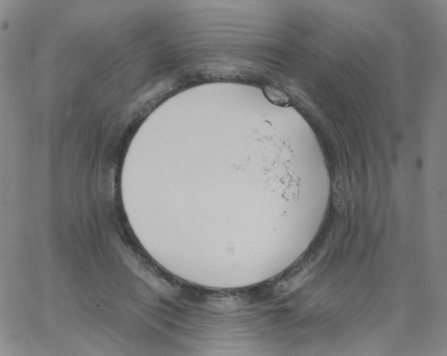 X0000062920454200602101901
