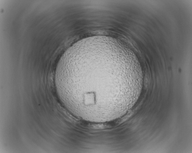 X0000062920473200602101901