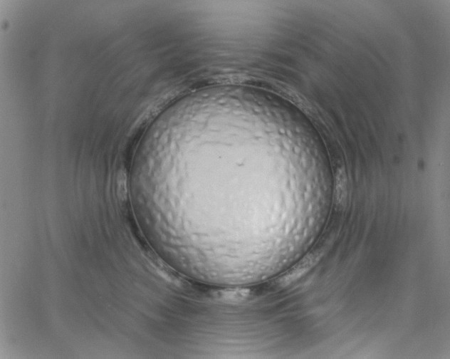 X0000062920474200602101901