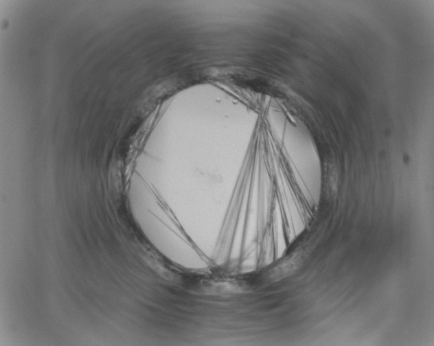 X0000062920475200602101901