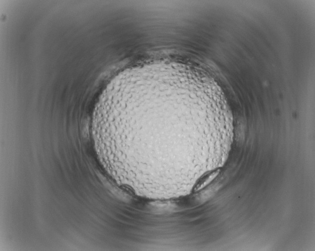 X0000062920477200602101901