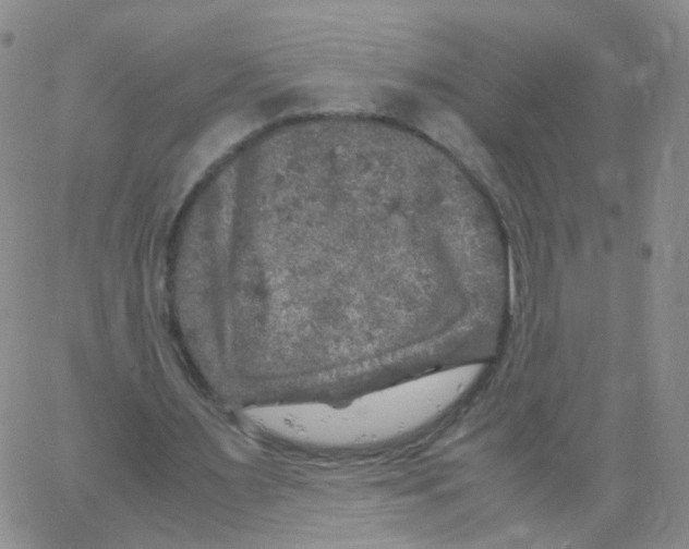 X0000062920483200602101901